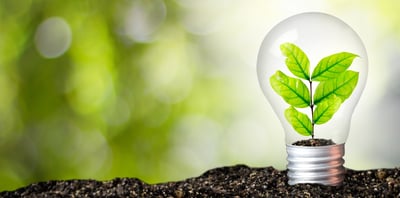 IT sustainability is your best competitive advantage. Here’s why